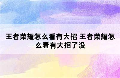 王者荣耀怎么看有大招 王者荣耀怎么看有大招了没